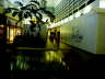 Ben Bridge Mall